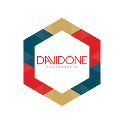 Blog Davidone logo